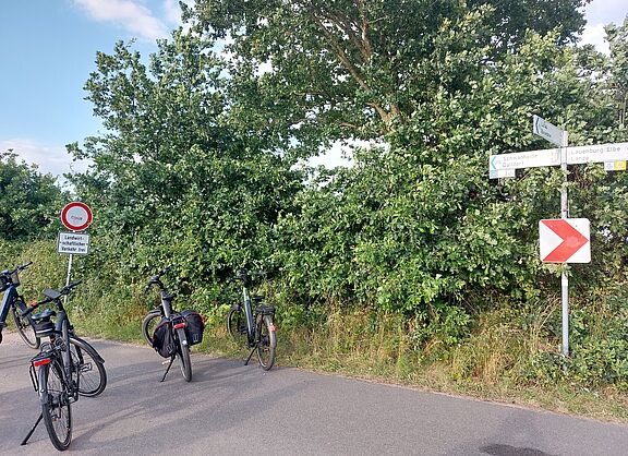 Wegweiser 